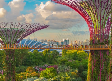 Why you should walk the first afternoon