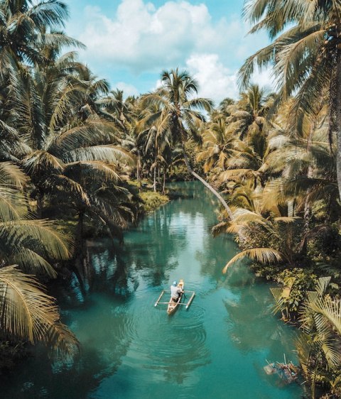 Passport and document requirements for travel